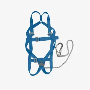 Safety harness